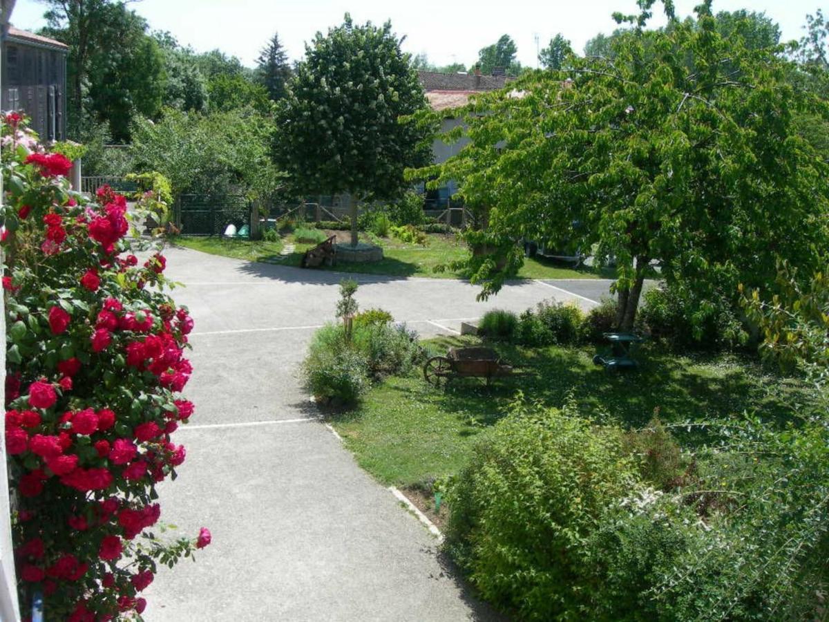 Gite Charmant Au Bord De L'Eau Avec Canoes, Terrasse Et Jardin A Damvix, Au Coeur Du Marais Poitevin. - Fr-1-426-354 Villa Екстериор снимка